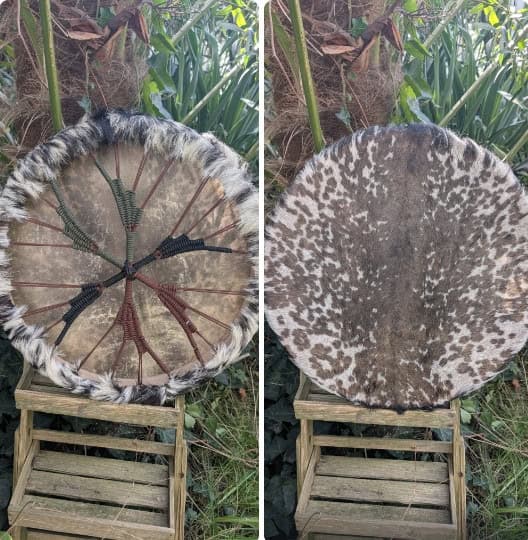 Sjamanendrums met haar 50 cm