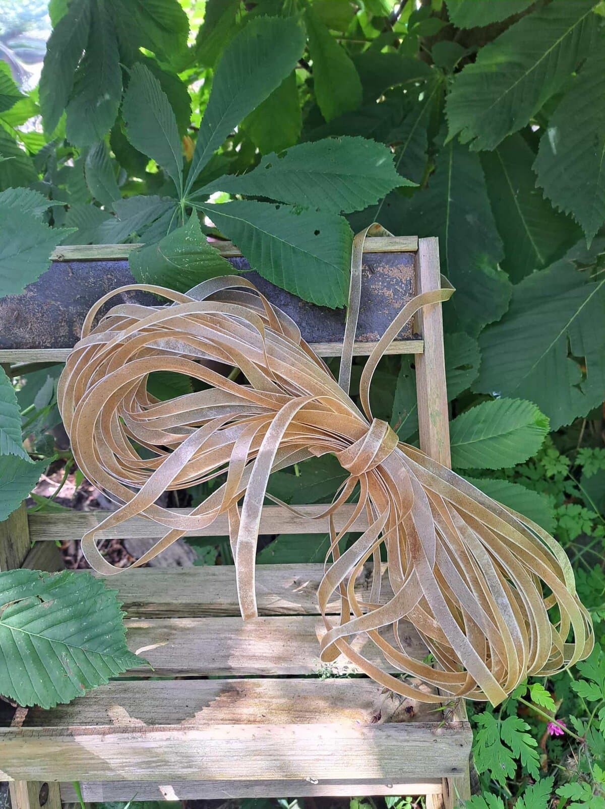 Lace RawHide