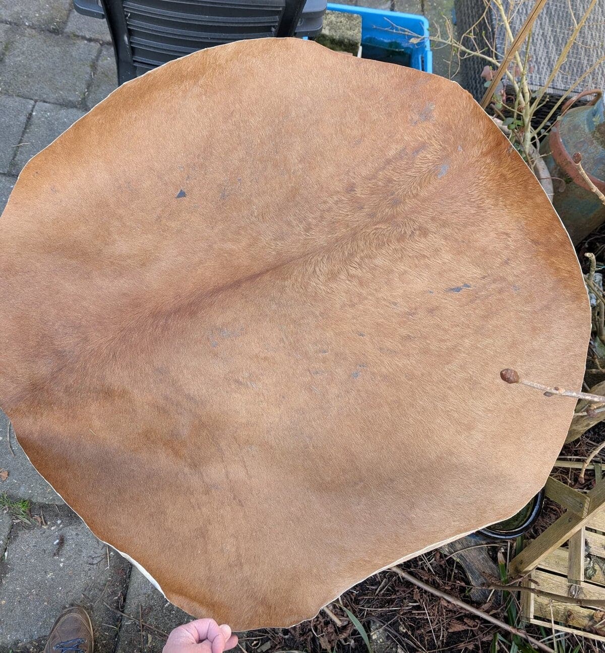 Skins for shamanic drum B-grade
