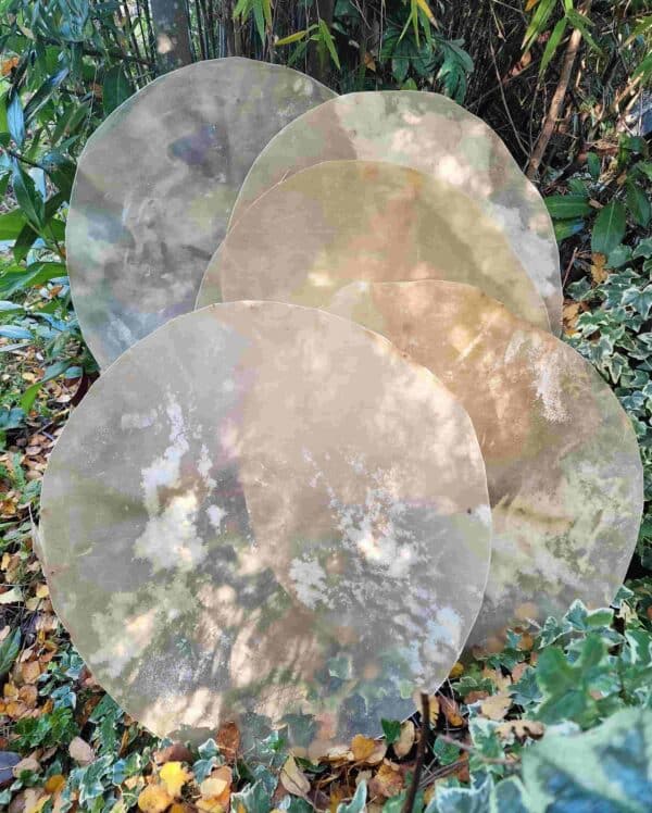 Trommelfelle glatt (verschiedene Tierarten) – Bild 3