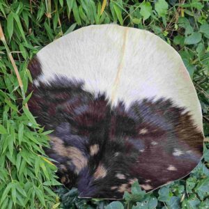 Peaux de tambour avec poils (diverses espèces animales)