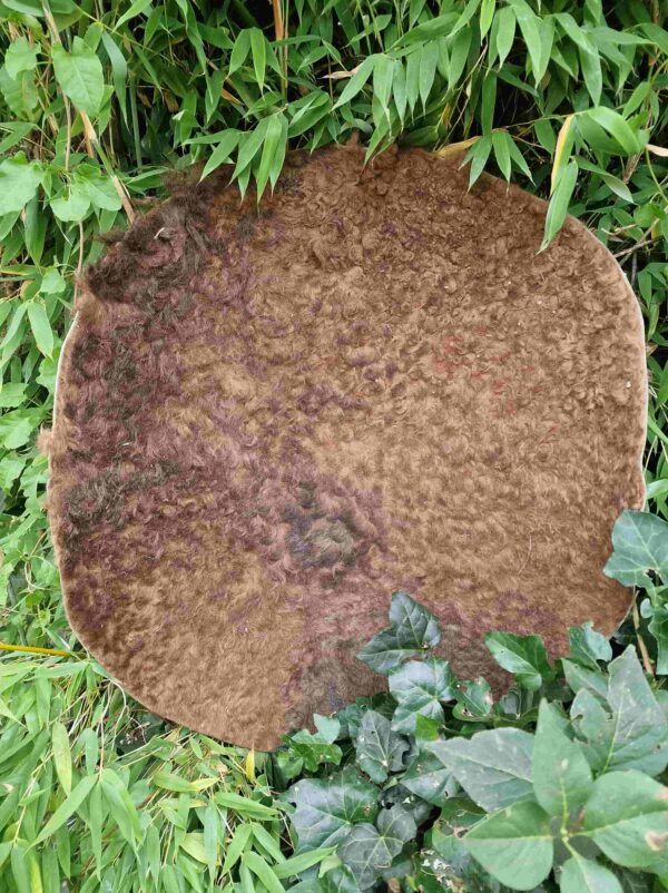 Drumvellen met haar (verscheidene diersoorten) - Afbeelding 6