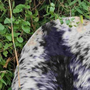 Huiden voor je sjamanendrum