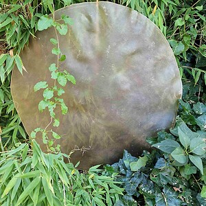 Paard kaal 65 cm min uitgelijnd