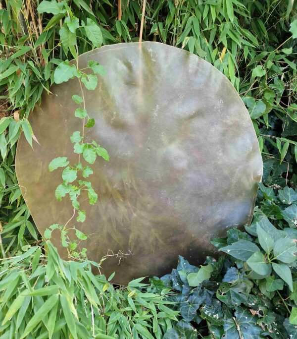 Paard kaal 65 cm min uitgelijnd