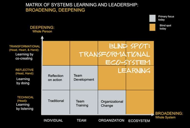 Matrix van systeemleren en leiderschap