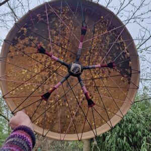Healingdrums van Singing Drum