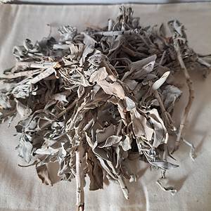 Smudge losse Witte Salie 30 of 75 gram | Smudges | Sjamaan.nl