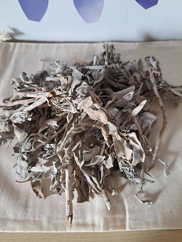 Smudge losse Witte Salie 30 of 75 gram | Smudges | Sjamaan.nl