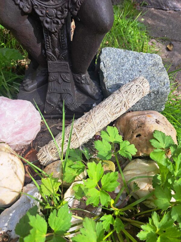 Smudge Shasta Sage Smudgebundel groot | Smudges | sjamaan.nl