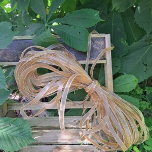 Lace Raw Hide | Wasserbüffel | Shaman.de
