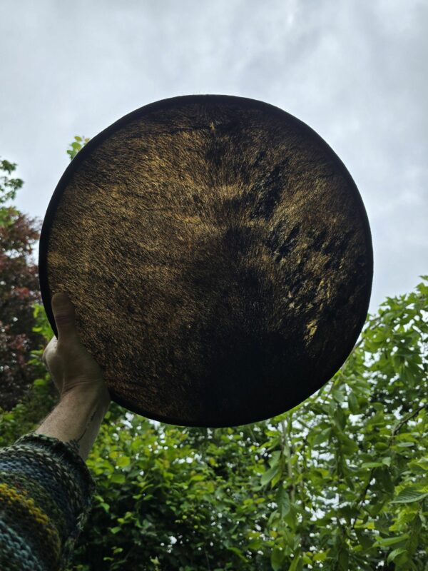 Sjamanendrum 45 cm Paard op Moerbei en Chalcociet – Image 5