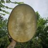 Medizintrommel Känguru & Kuh auf Eierrahmen Weide mit grünem Opal | air | shaman.com