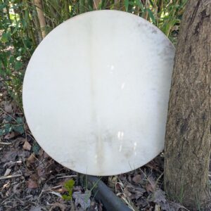 Geit perkament op wilg voorkant| Sjamanendrums perkament zonder haar | Sjamaan.nl