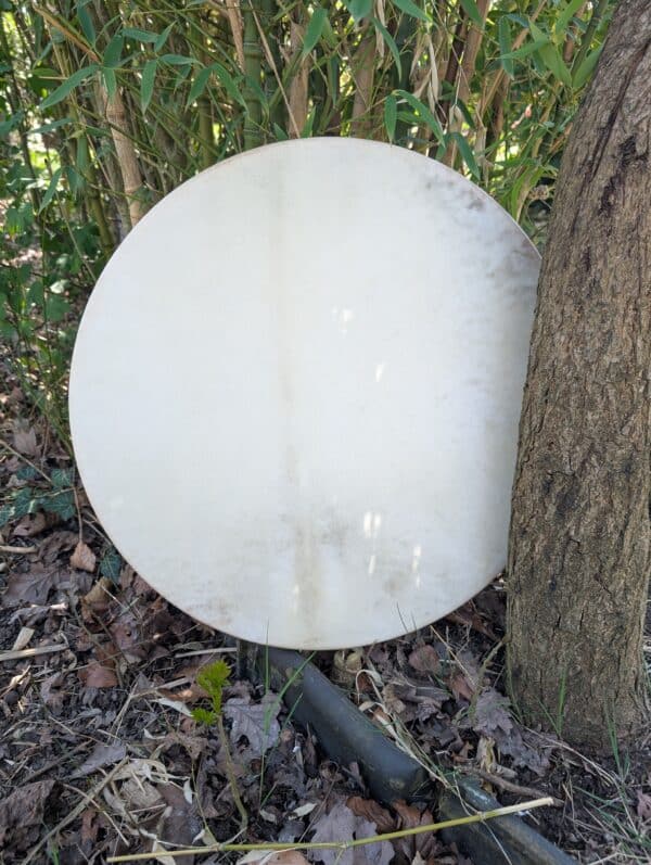 Geit perkament op wilg voorkant| Sjamanendrums perkament zonder haar | Sjamaan.nl
