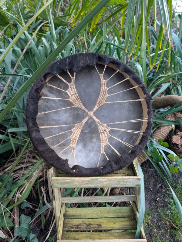 Essen 45 paard bruin voorkant