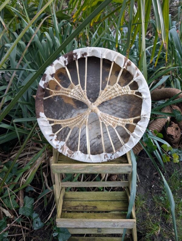 Paard 45 wilg achter bruin gestippeld