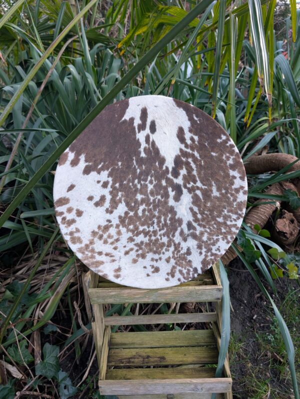 Paard 45 wilg voor bruin gestippeld