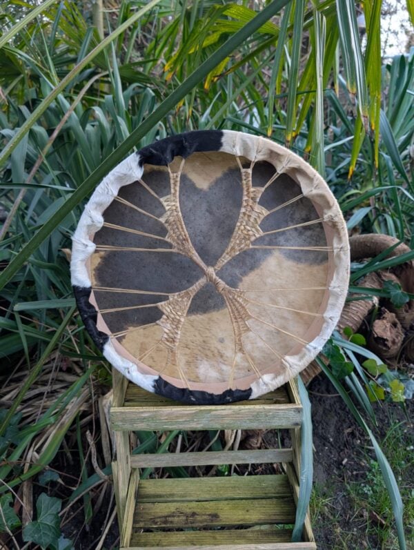 Paard bruin wit 45 wilg achter