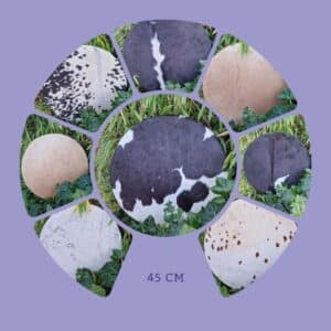 totaaloverzicht 45 cm drums | sjamaan.nl