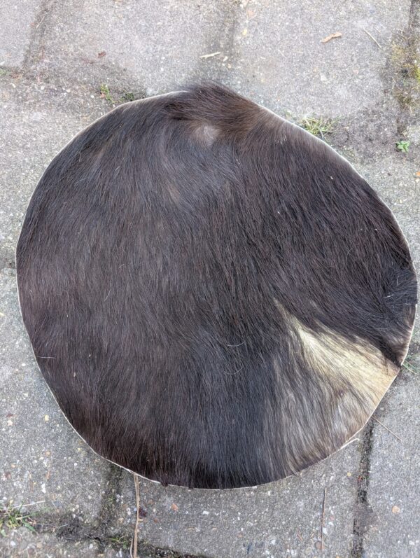 B Huid Ratel Waterbuffel