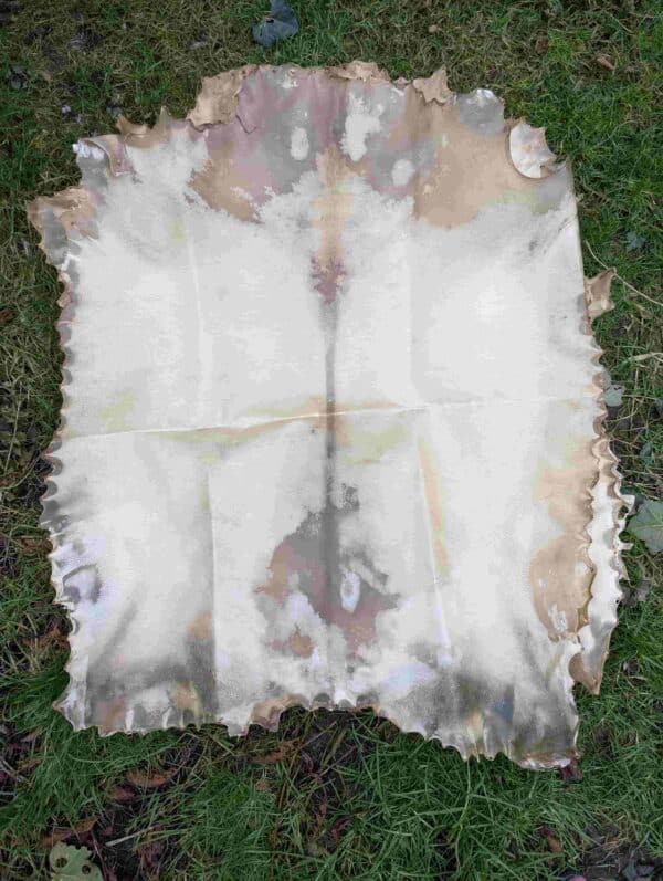 Volledige Geitenhuid Kaal