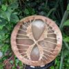 Koe bruin 50 cm wilg achterkant min