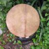 Koe bruin 50 cm wilg voorkant min