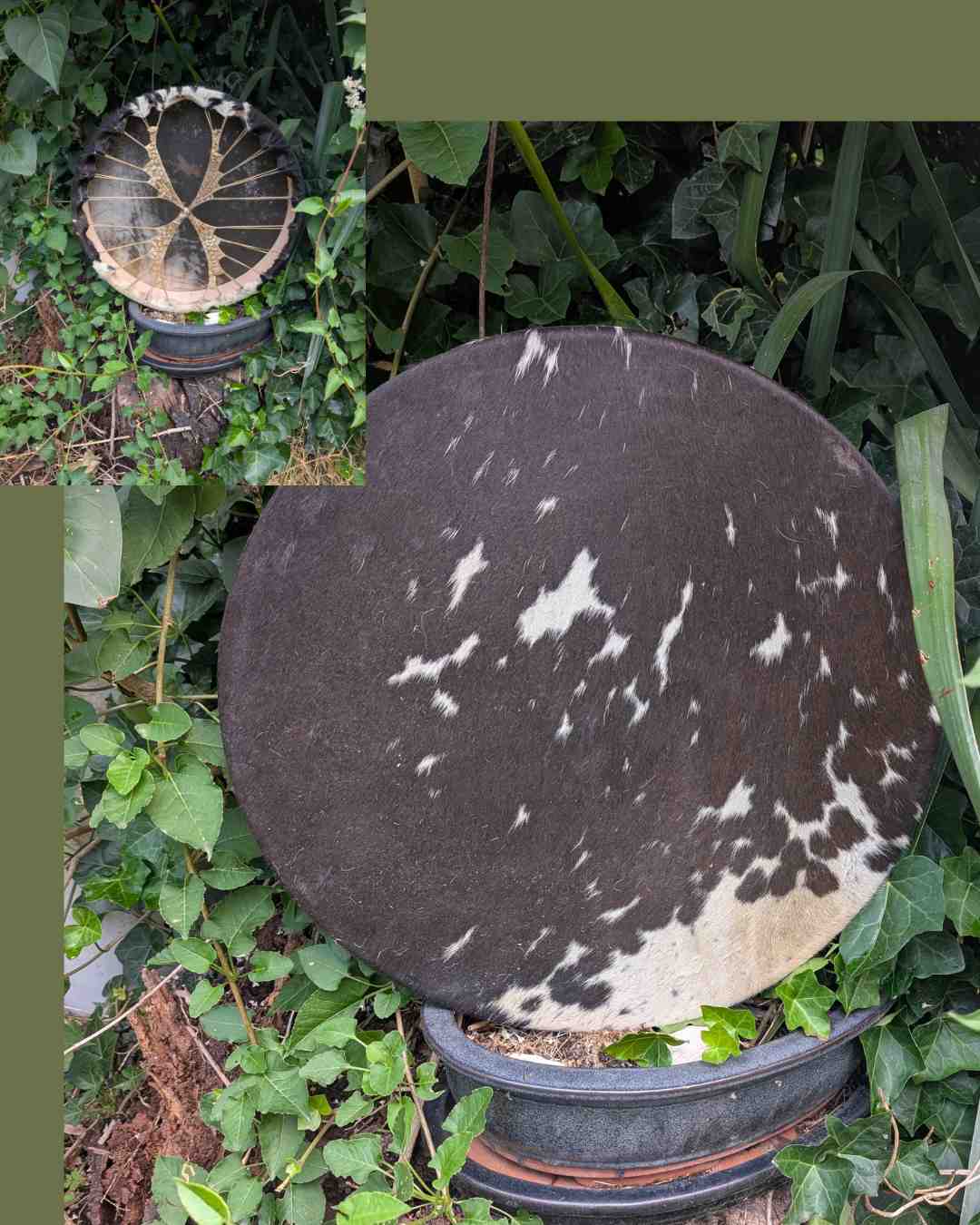 Paard gevlekt 45 cm wilg