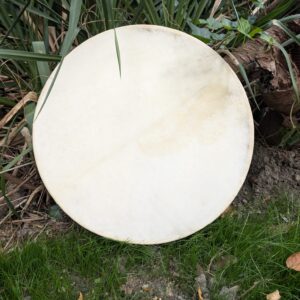 Whatsapp image 2025 10 30 at 12.23.27