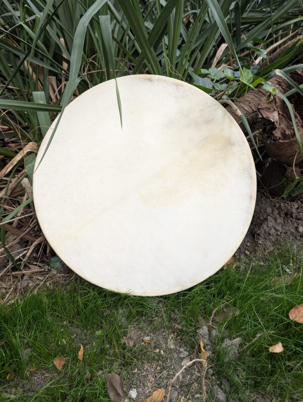 Whatsapp image 2025 10 30 at 12.23.27