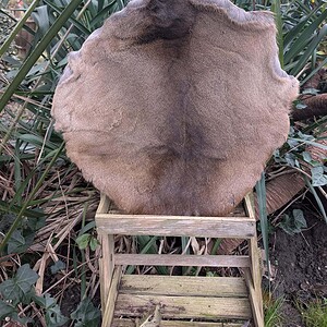 Hert (ree) voor medicijndrum