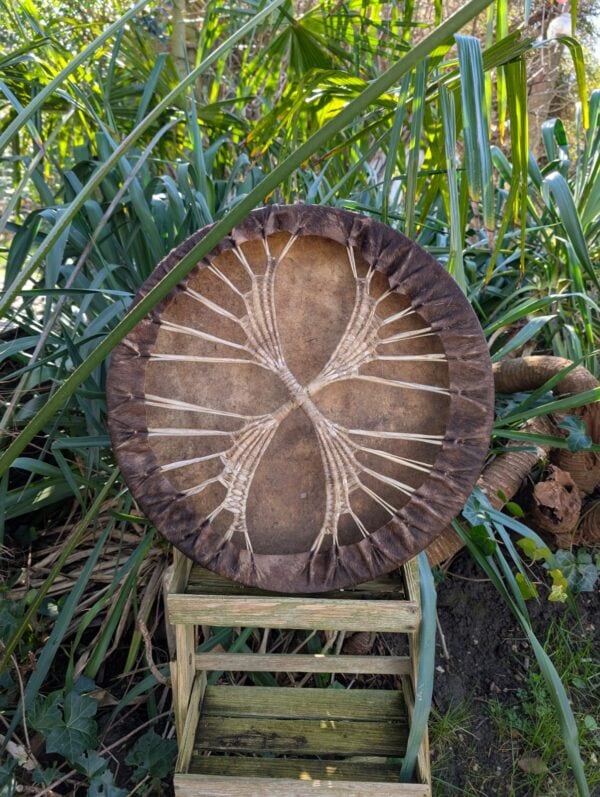 Essen paard 50 bruin achter