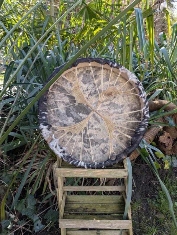 Eschoren geit wilg 50 achter