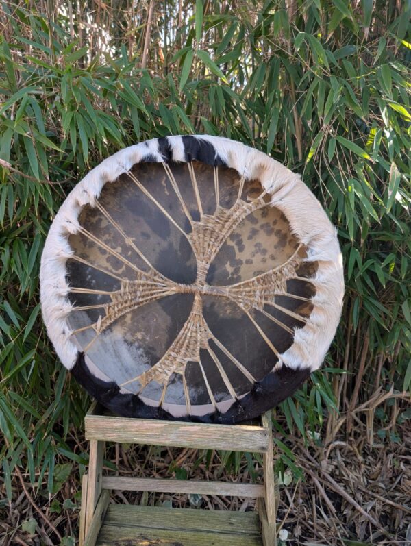 Paard 50 cm zwart wit achter