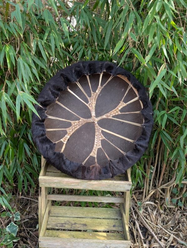 Paard moerbei 40 cm zwart achter